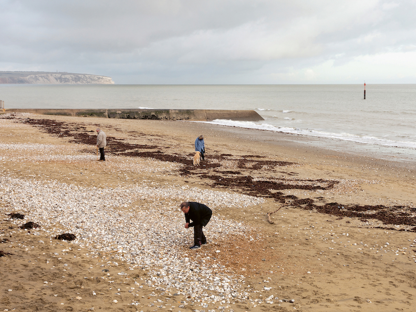 © Dara McGrath, from the series "Project Cleansweep" / 04 Site No. 18: Sandown Bay, Isle of Wight