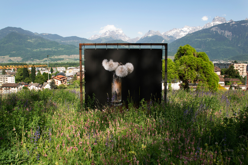 © Brigitte Lustenberger, WHAT IS LOVE, Outdoor installation / Courtesy Christophe Guye Galerie 